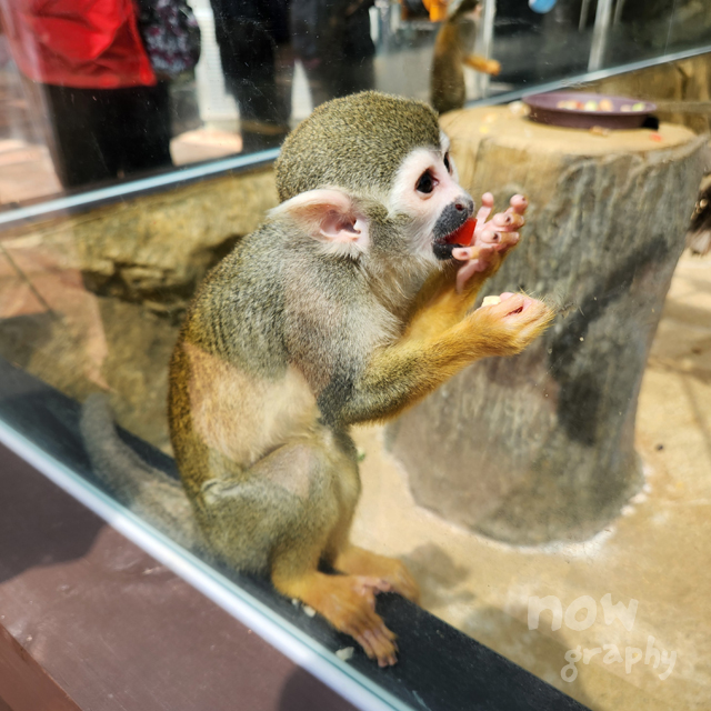 아산시-생태곤충원