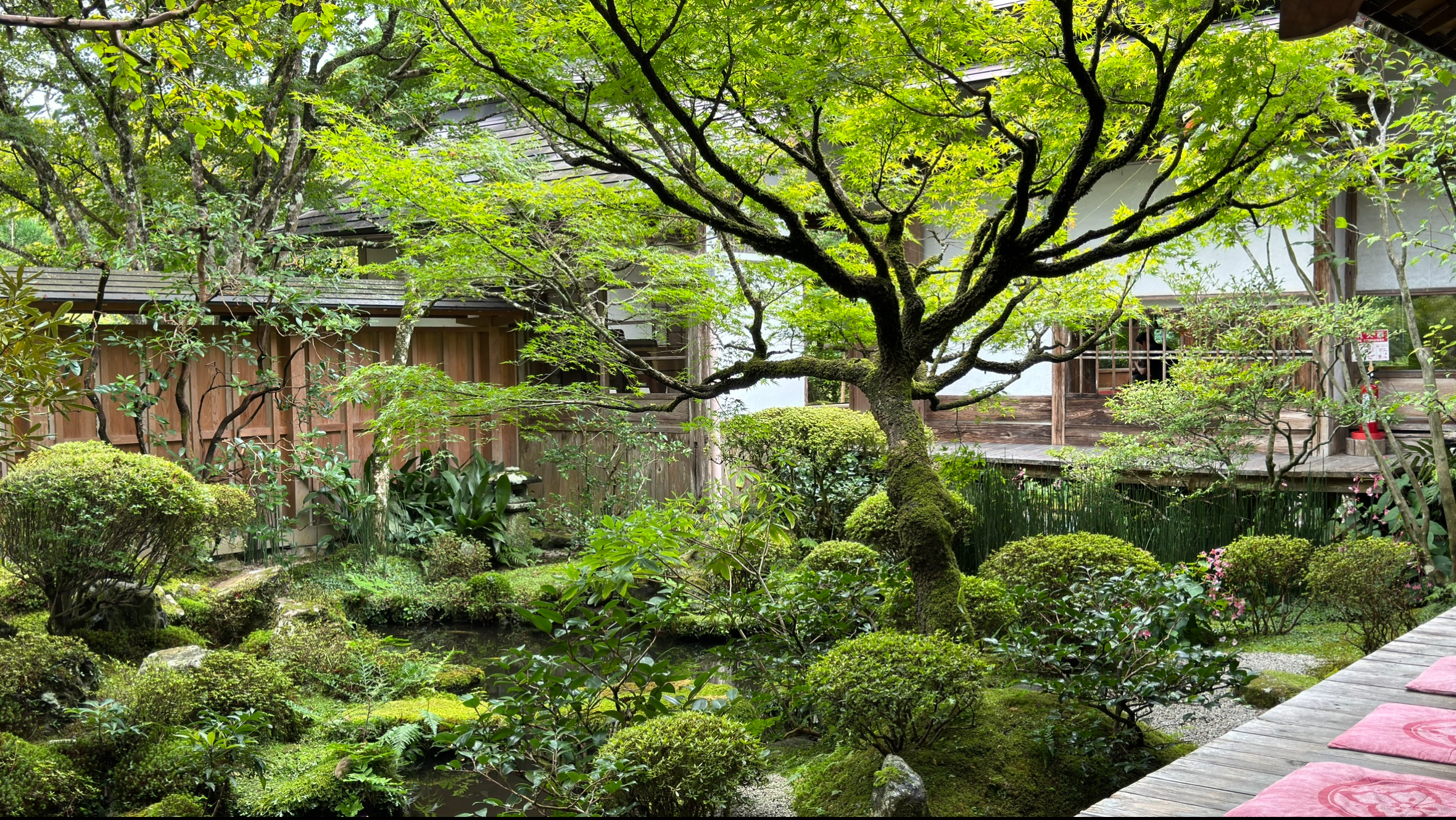 교토 오하라 호센인 ❘ 액자 속 풍경과 전쟁의 흔적이 공존하는 고즈넉한 사찰