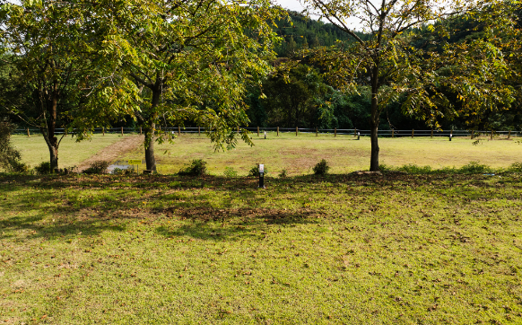 스노우피크 캠프필드 캠핑장 에버랜드ㅣ예약방법∙캠핑존∙부대시설∙반려견 동반 총정리
