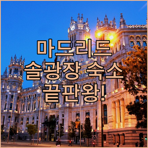 마드리드 숙소 추천 솔 광장 근처 위..