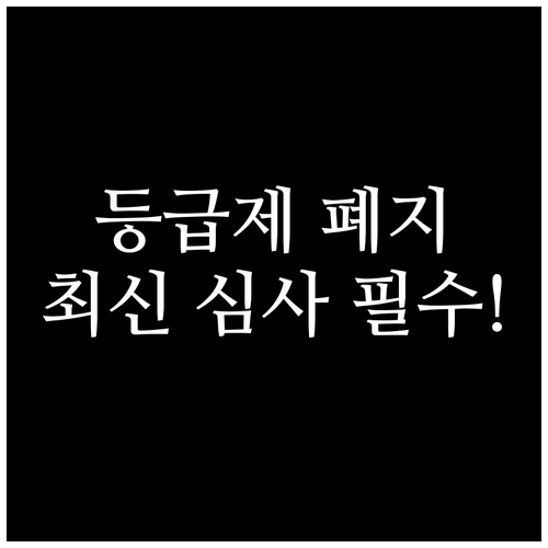 구 등급제 폐지 후 장애 정도 심사제..