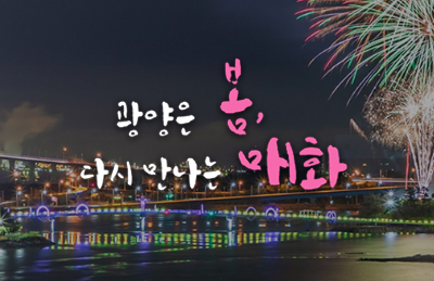 벚꽃축제벚꽃명소봄꽃여행지