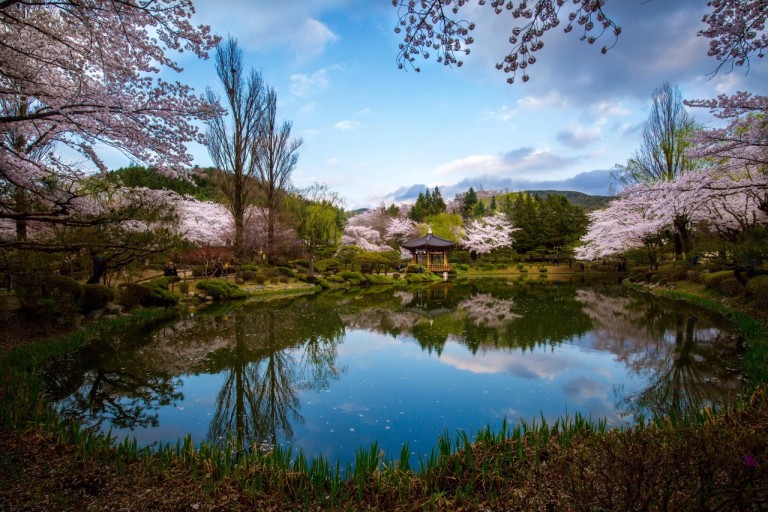 2024 경주 가볼만한곳 하루코스 시내 놀거리 유적지 왕릉 먹거리