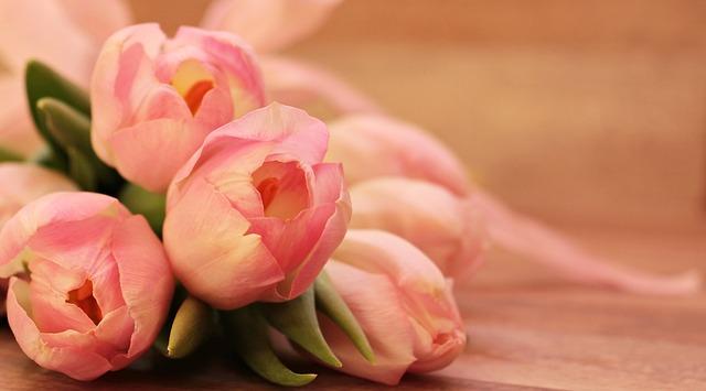 blog-image
