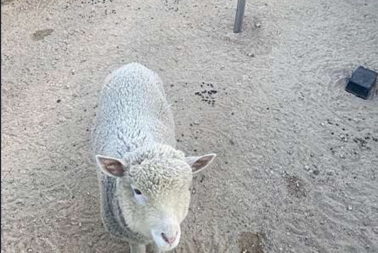 센트럴 곤충 생태농장