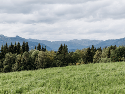 농지연금 가입조건 수령액 계산 총정리