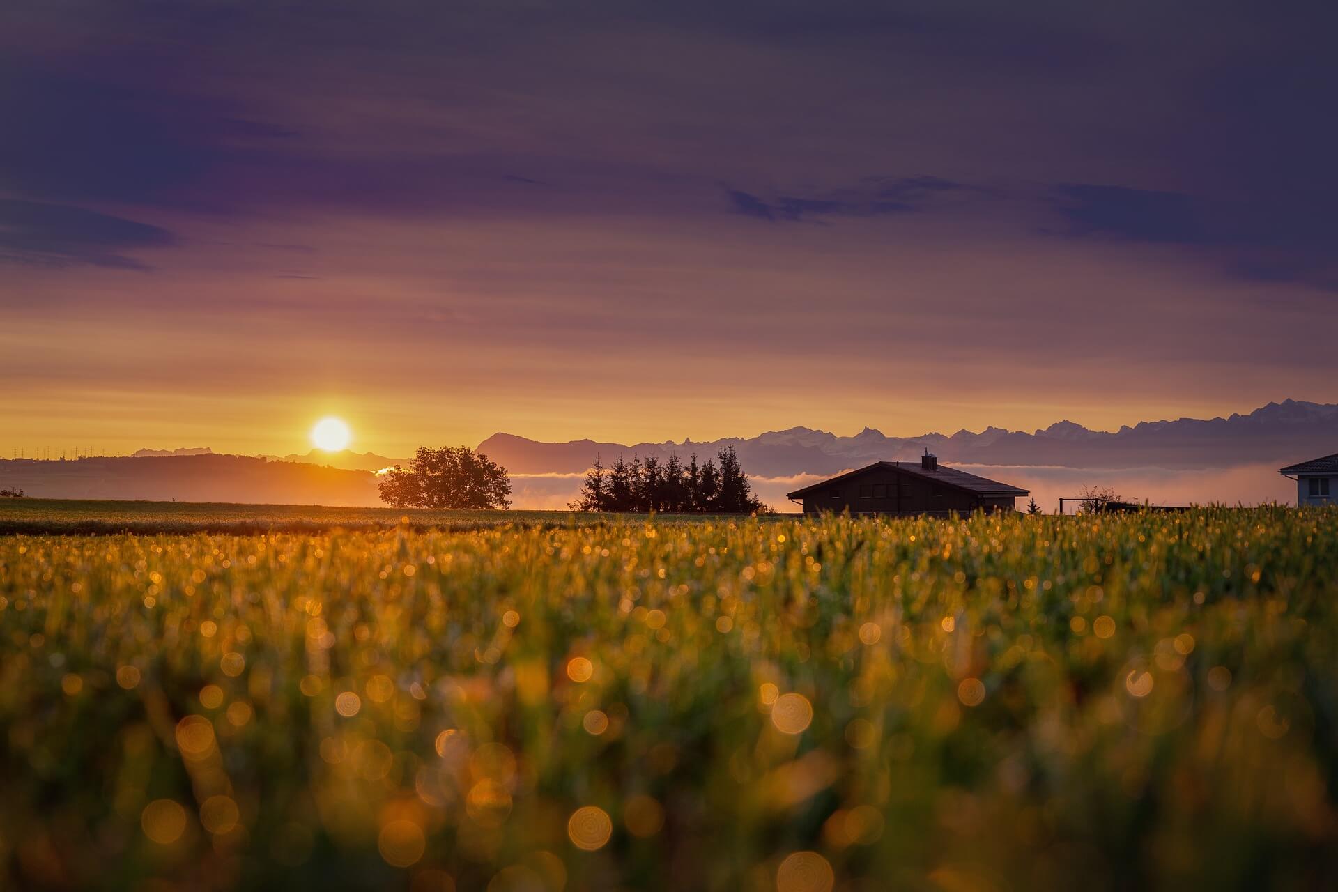 청년월세 지원