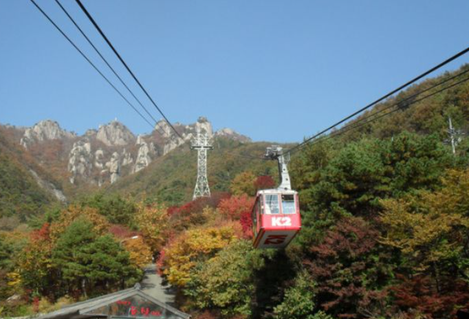2025 충청도 단풍 명산 코스 추천 ❘ 월악산·계룡산·속리산 절정 시기