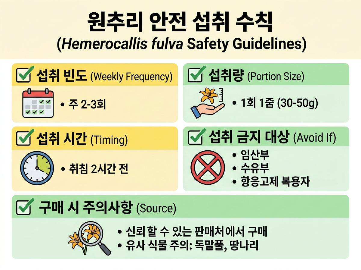 원추리 안전, 복용량, 주의사항, 금지 대상, 유사 식물 구별