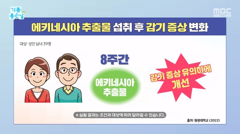 에키네시아 추출물 효능 NK세포 사이토카인 정보 안내