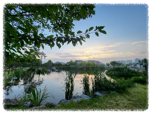 배다리생태공원