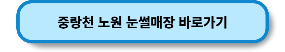 서울의 눈썰매장 (4)