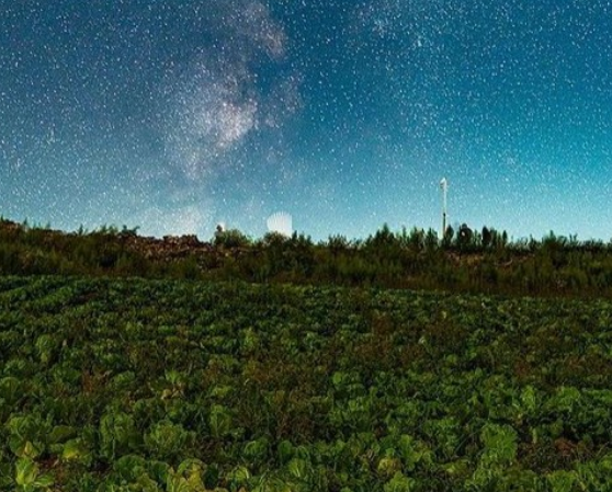 전국수선화명소