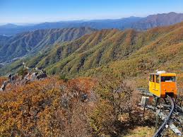 대봉산 단풍명소