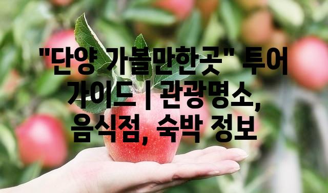 랜덤007