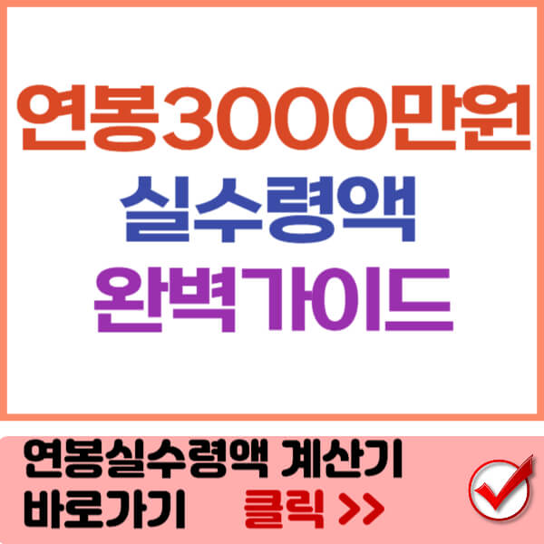 연봉 3000 실수령액 썸네일