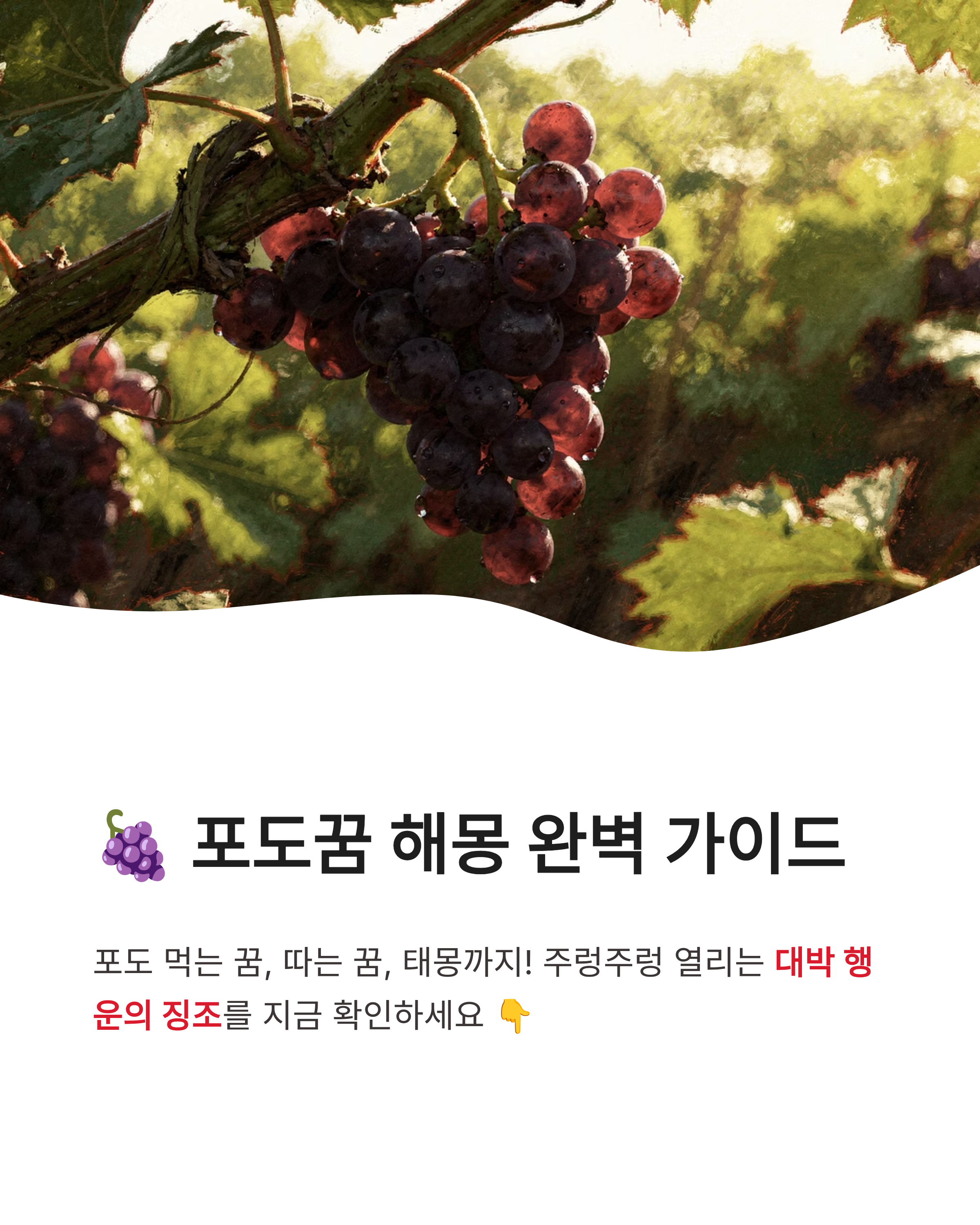 포도꿈 해몽 포도 먹는 꿈 따는 꿈 태몽까지! 주렁주렁 열리는 대박 행운의 징조는?