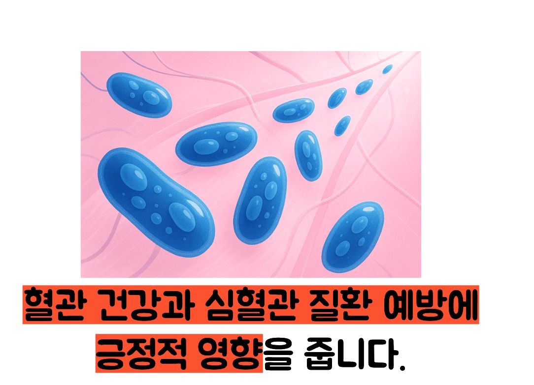 타트체리 효능