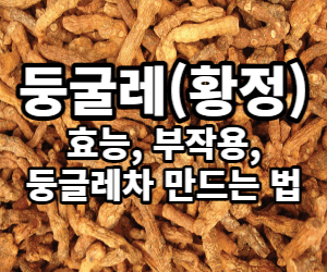 둥굴레