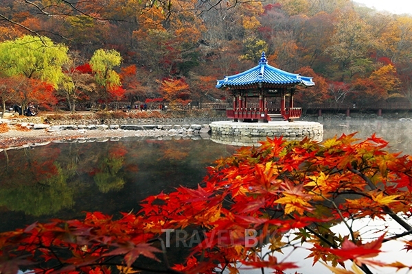 단풍 명소