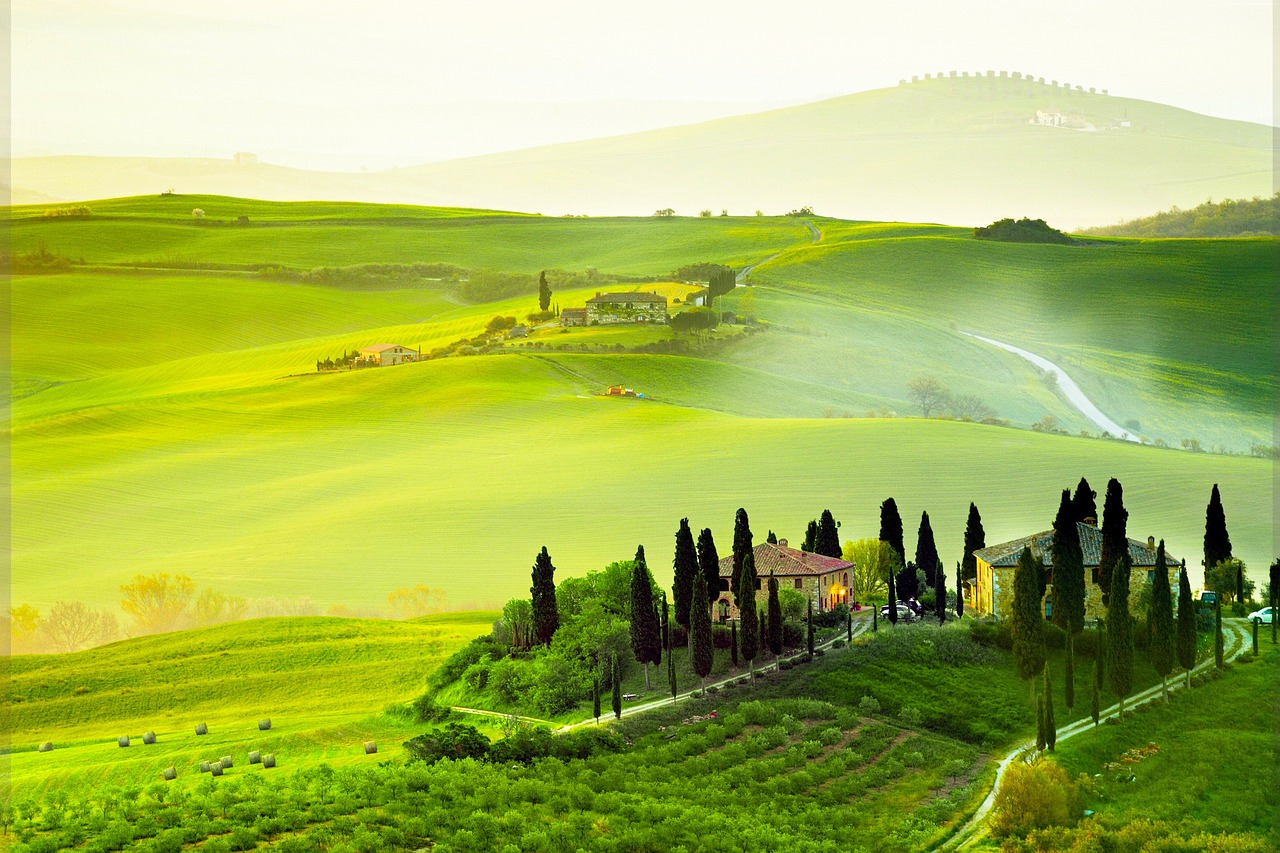 사주명리학과 풍수의 보완적 관계 CHRD