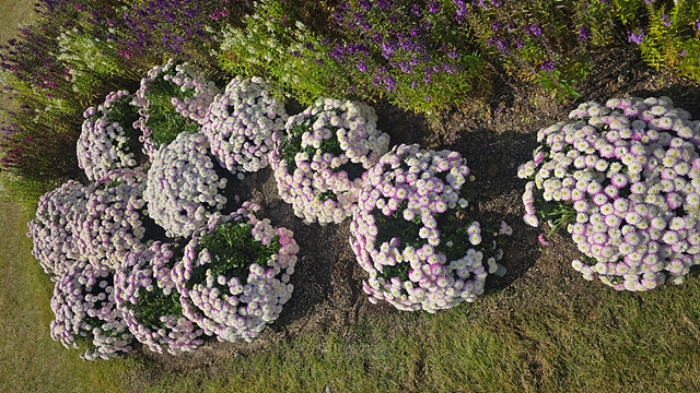 2025 순천만 국가정원 순천여행 맛집 현지인 추천 맛집 순천만 숙박