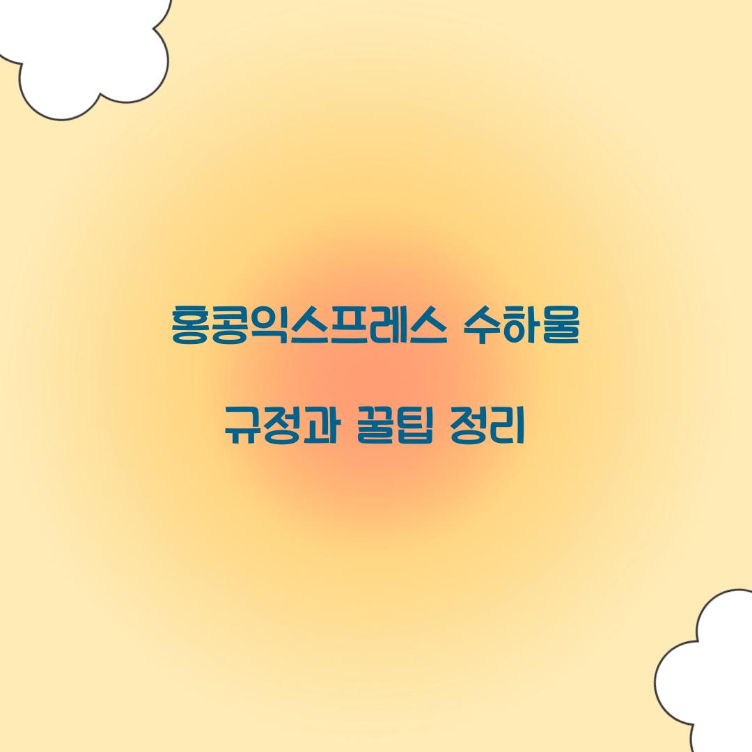 홍콩익스프레스 수하물