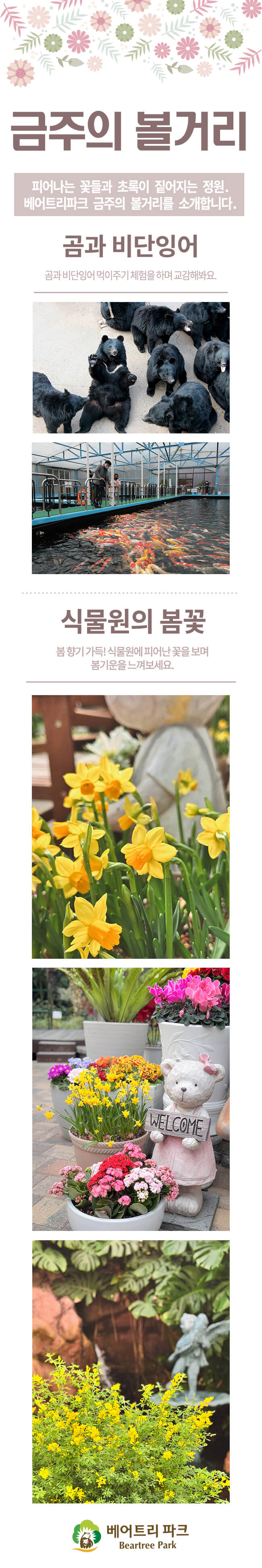 베어트리 파크 - 봄꽃축제