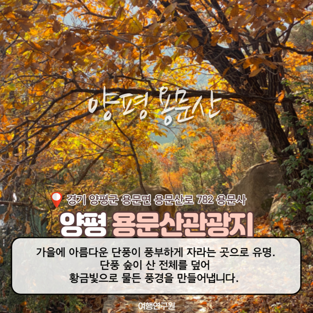 양평 용문산