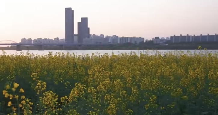 서울서래섬2
