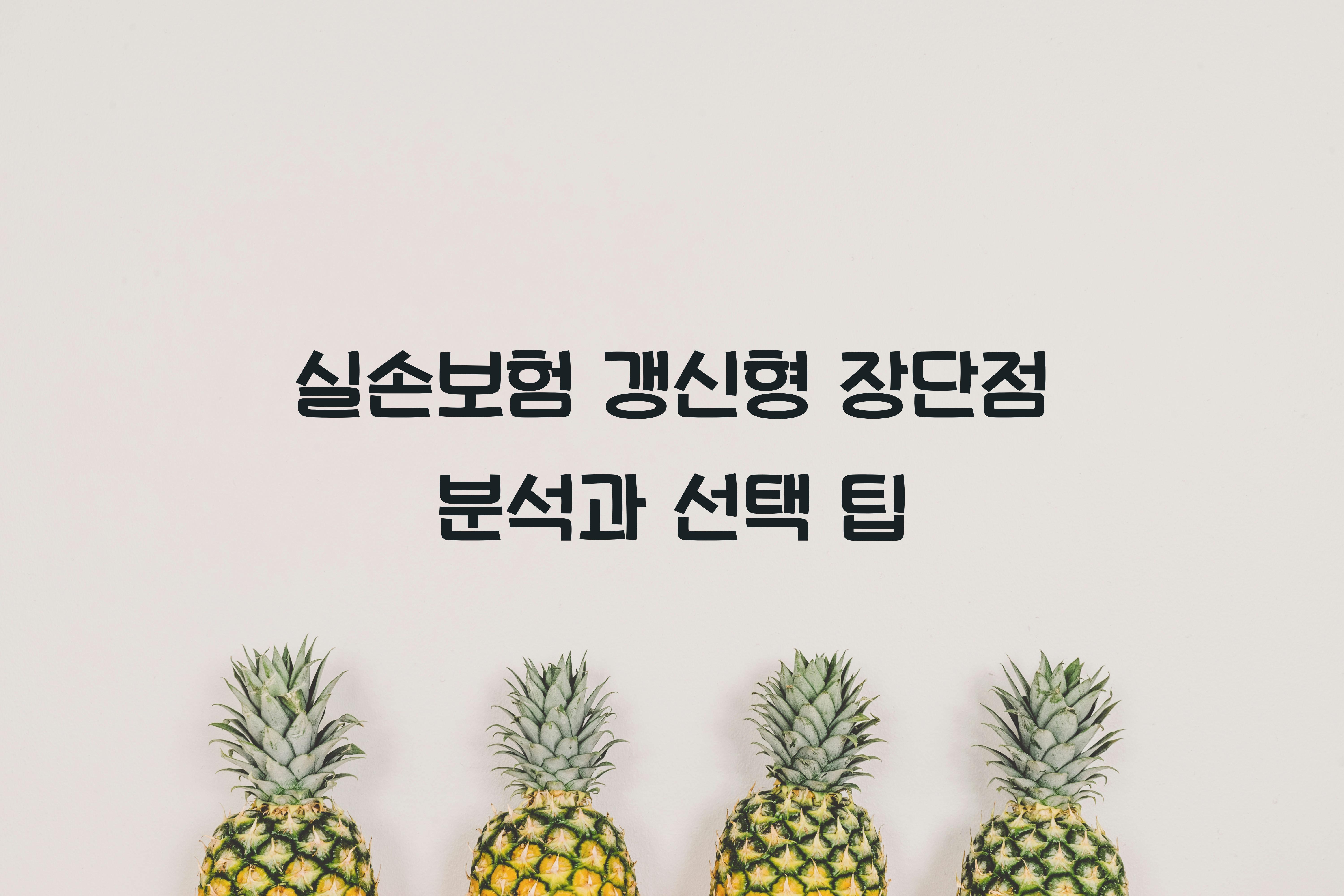 실손보험 갱신형 장단점