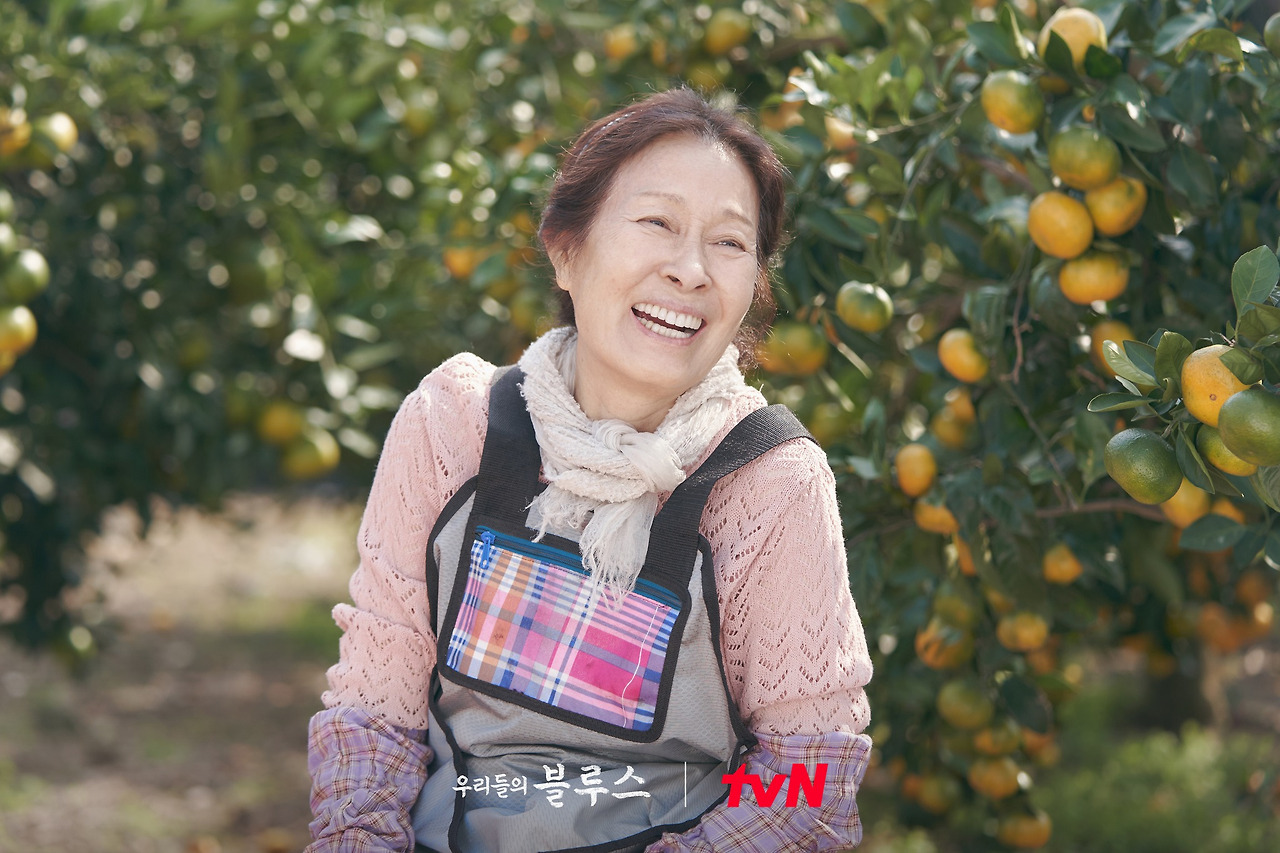 김민자 김혜자 윤여정 관계와 호칭 해석 참고 사진