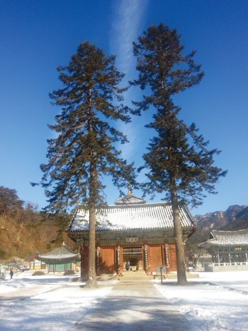 충북 겨울 명소 추천, 사찰·유적 산책 여행 BEST 4