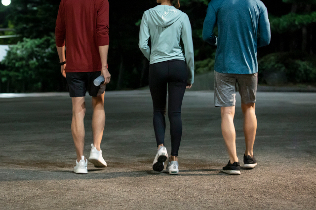 허리디스크 완전 정복 시리즈 총정리