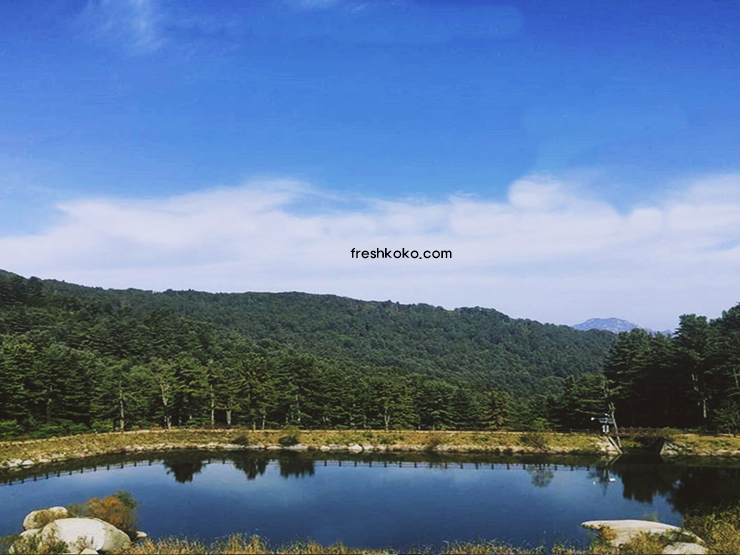 가평 가볼만한곳 베스트10