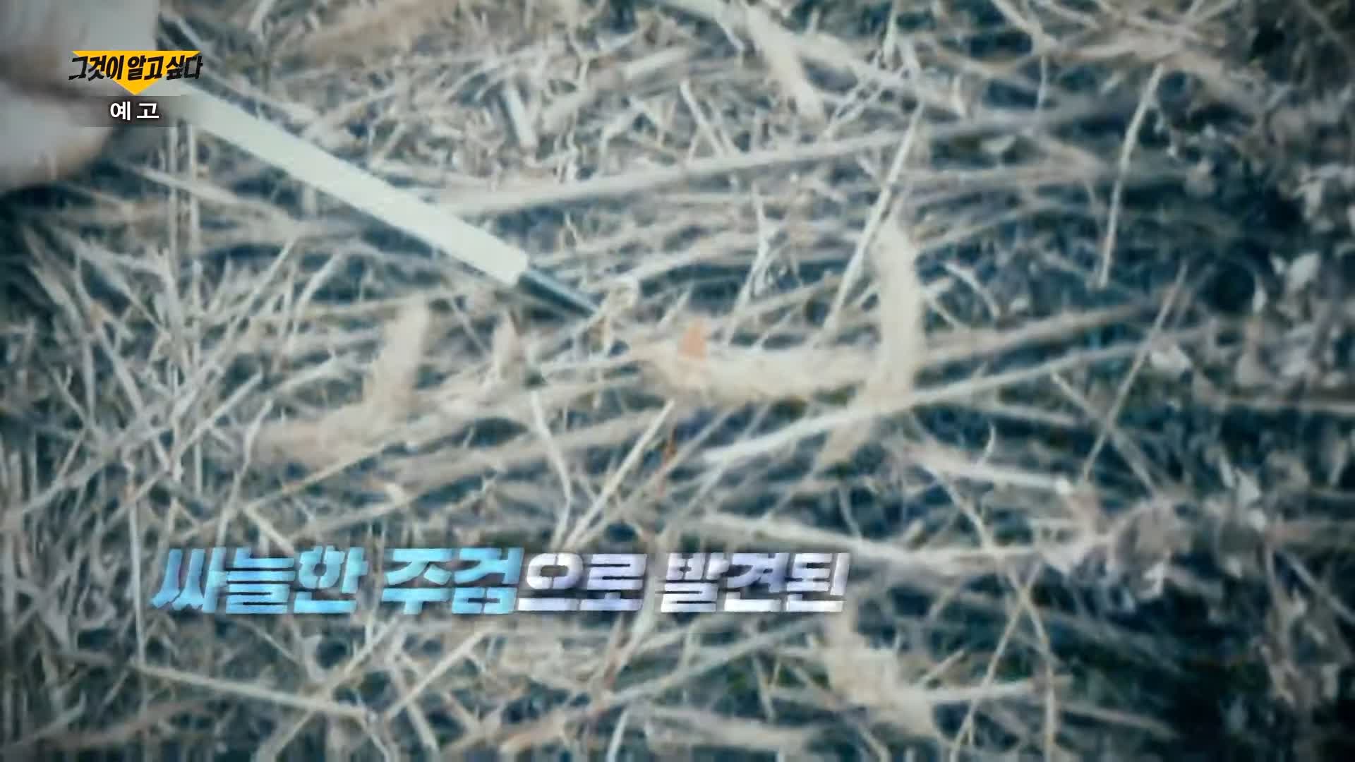 그알 그것이알고싶다 잔혹하게 목이 잘려 살해 당한 후 유기 파주 택시기사 살인 사건 범인의 시그니처 매듭과 프로파일링 1322회