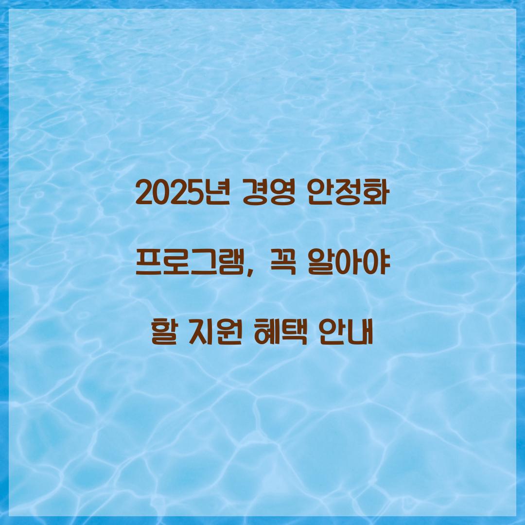 2025년 경영 안정화 프로그램
