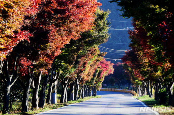 남해 단풍 – 바다와 함께 즐기는 특별한 가을