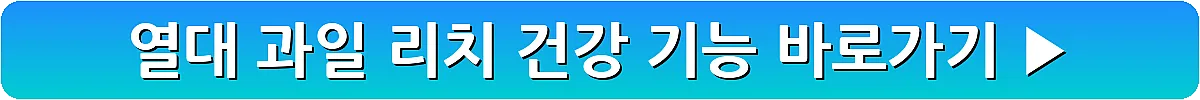 열대 과일 리치 건강 기능_11