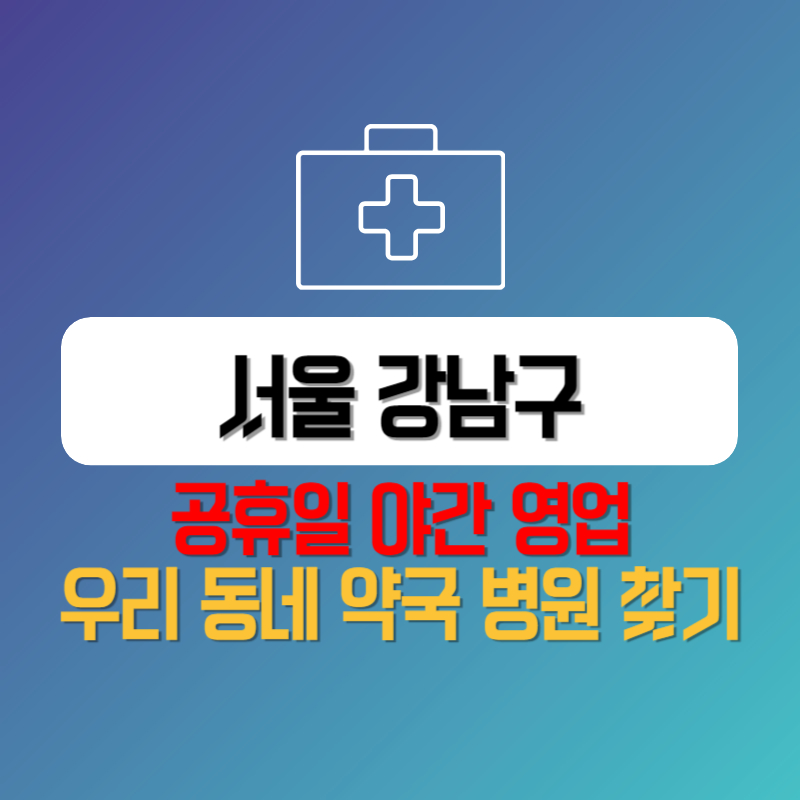 서울 강남구 공휴일 야간 영업 우리 동네 약국 병원 찾기