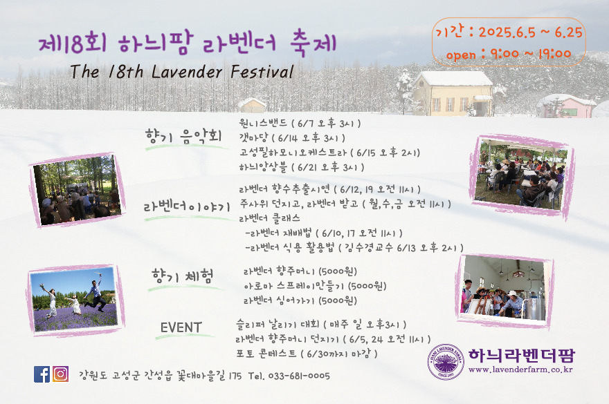 라벤더 축제 프로그램