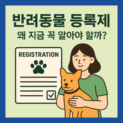 반려동물 등록제 등록 방법