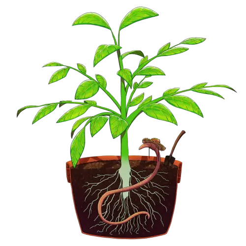 조경기능사 자격증 시험일정