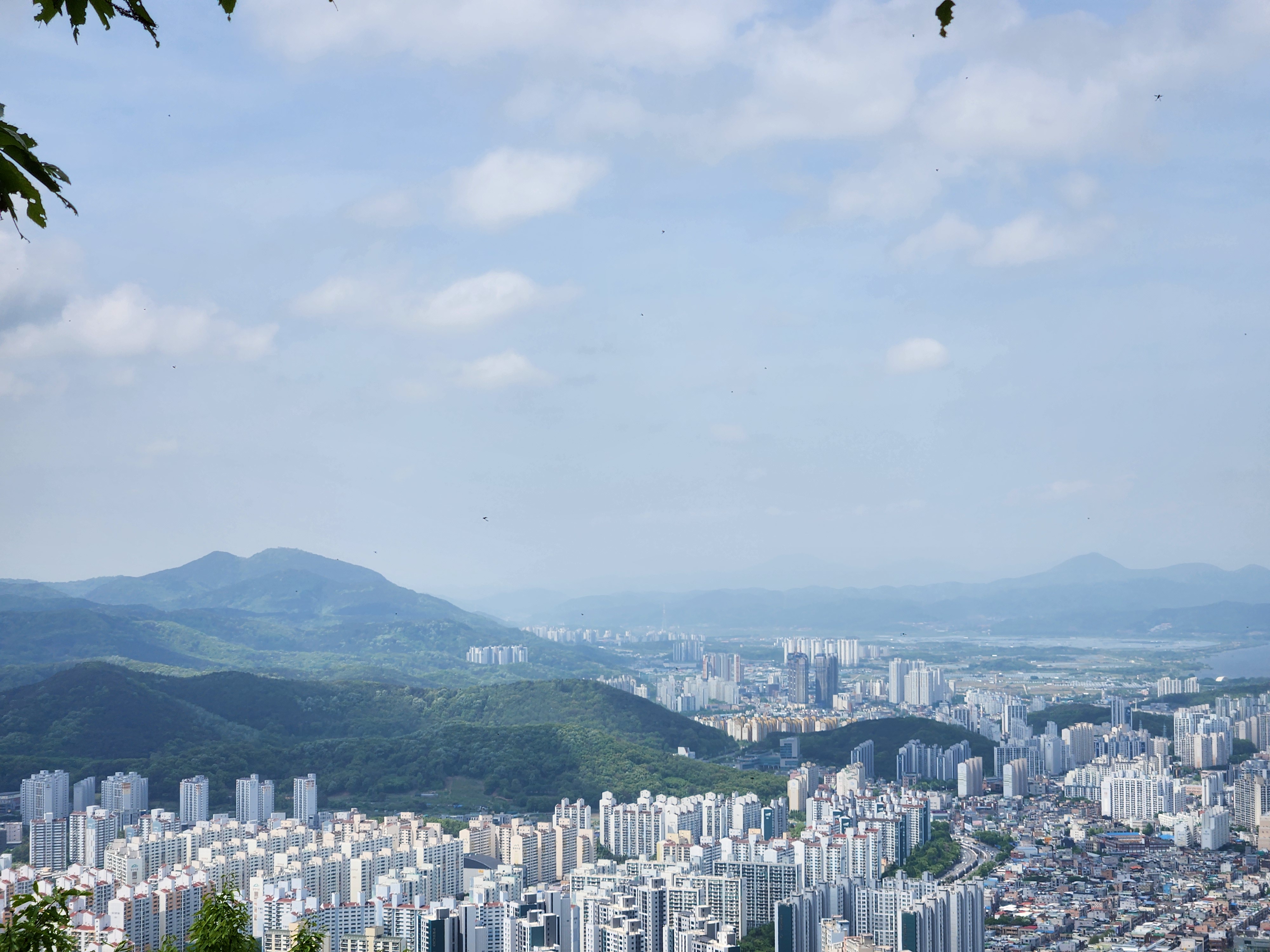 상인동 대덕산 (17)