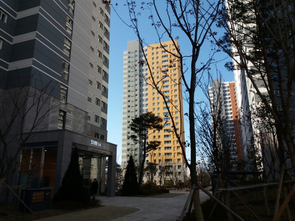 단지 안쪽 동