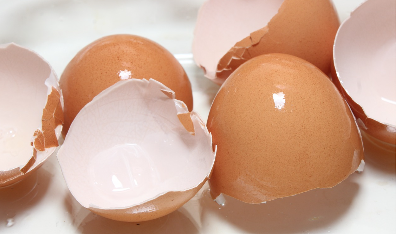 난각막가수분해물,-관절에 좋은 이유,-섭취방법,-제품구매방법