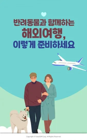 반려동물과 해외여행 기내 직항 펫 전용 준비와 절차_13