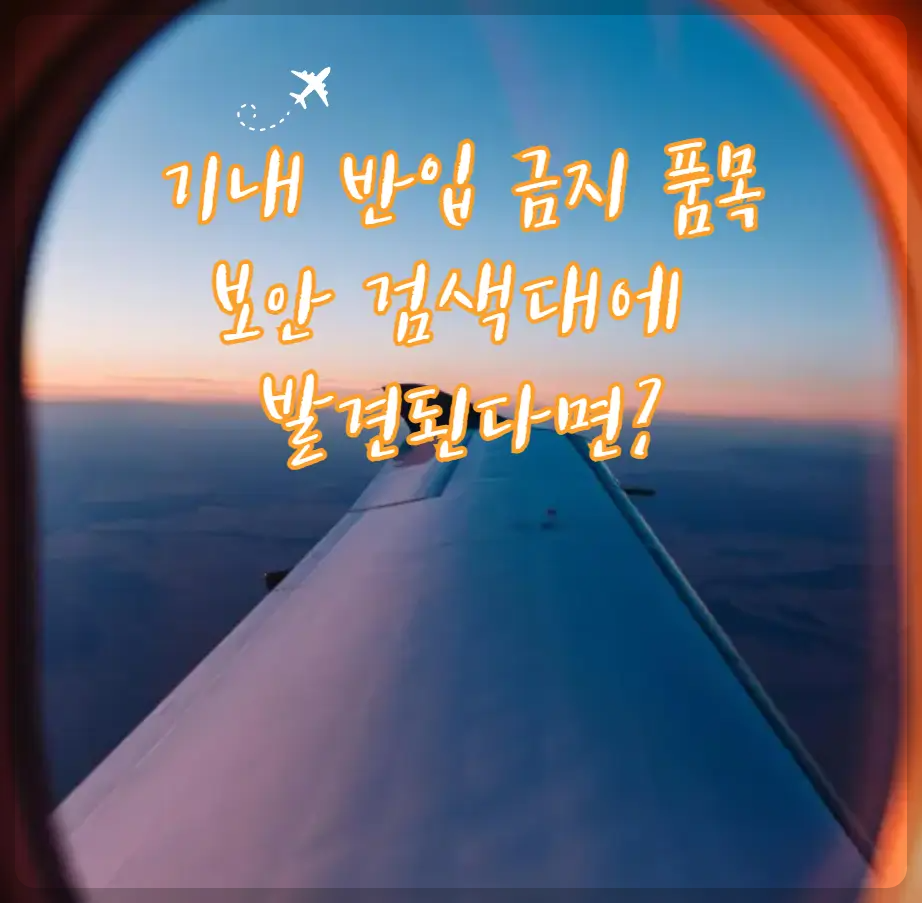 기내 반입 금지 품목 검색대 발견 대처방법