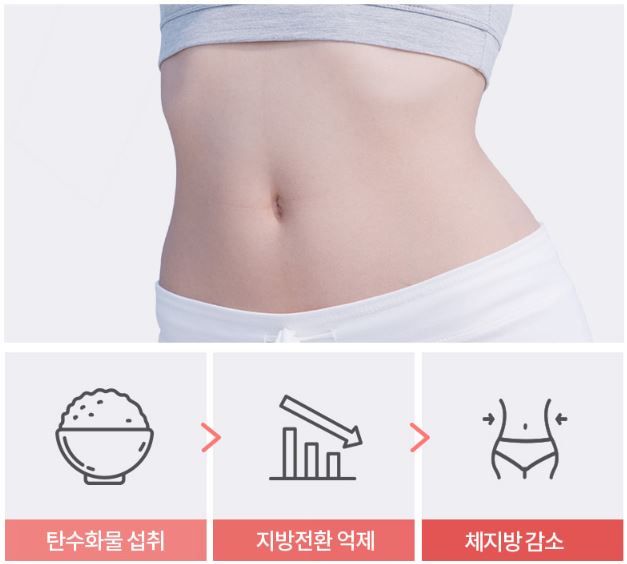 푸응다이어트-후기