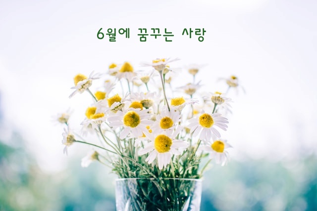 시의 제목 들어간 이미지